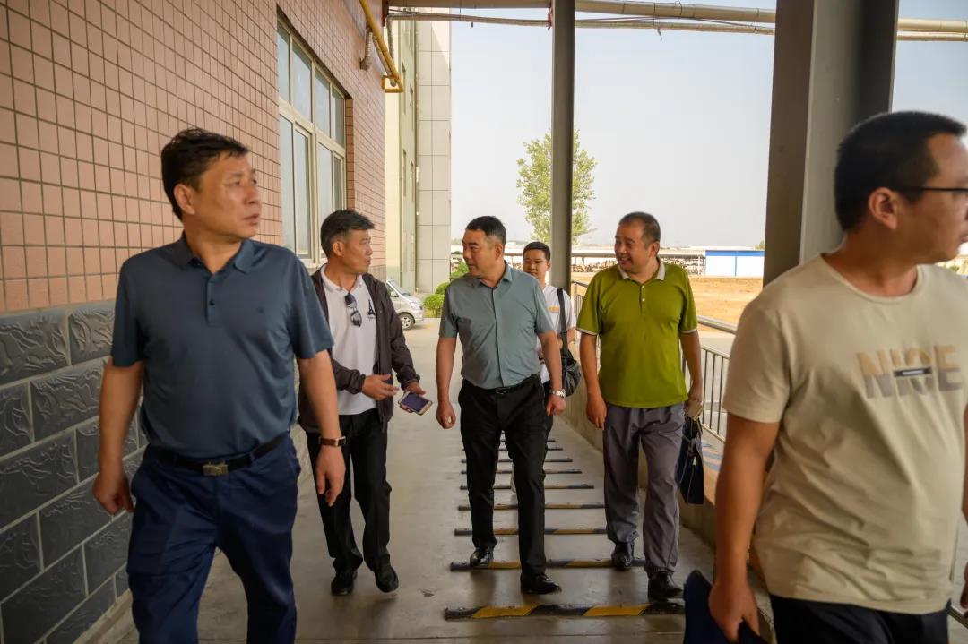 宜阳县市场监视治理局孙治平副局长一行莅临尊龙集团食物开展“食物生产日常监视检查”现场教学活动_尊龙集团